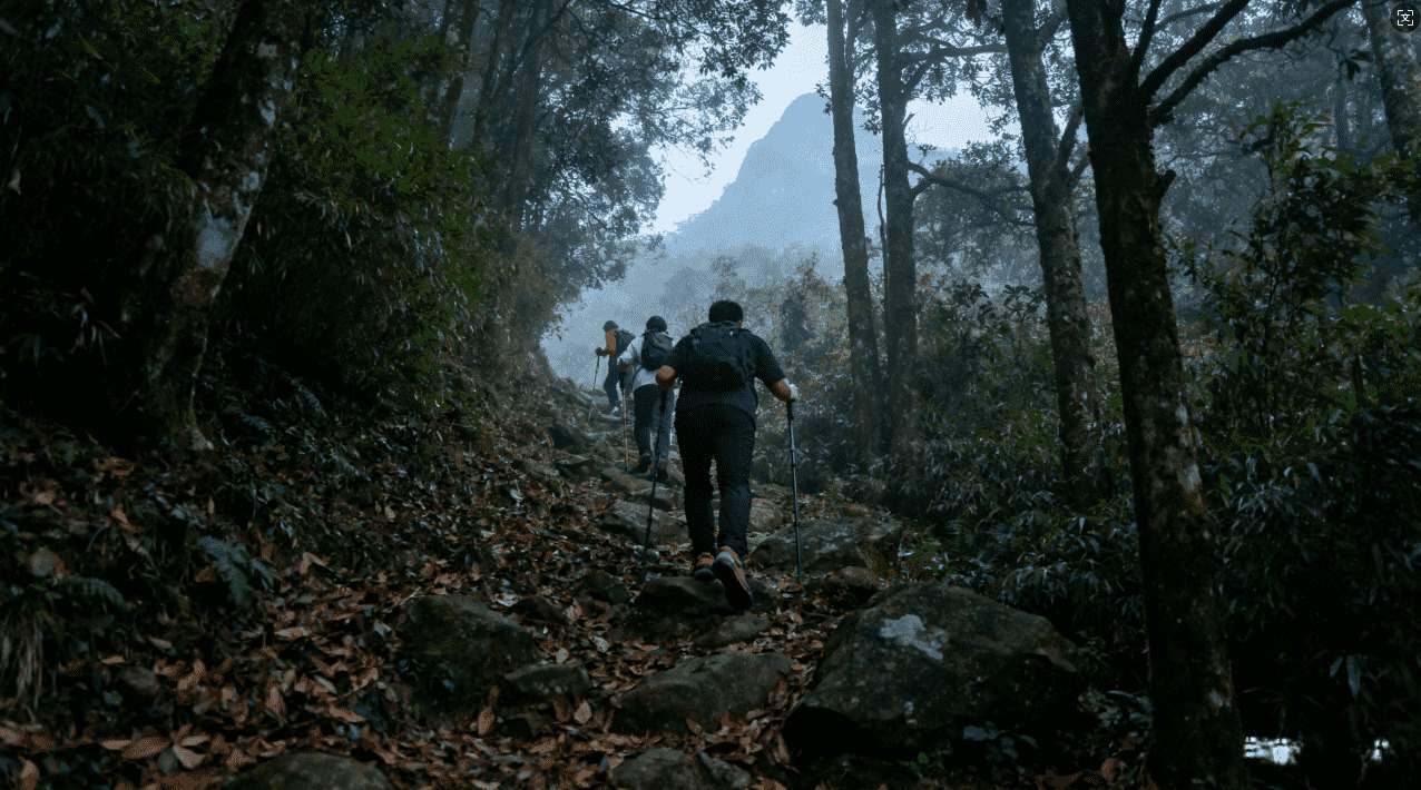 轻蜂加速器在使用Instagram时的表现